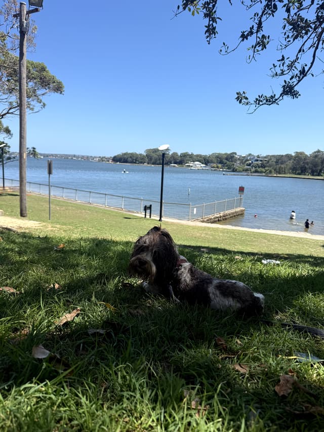 Graziella at the harbour beach
